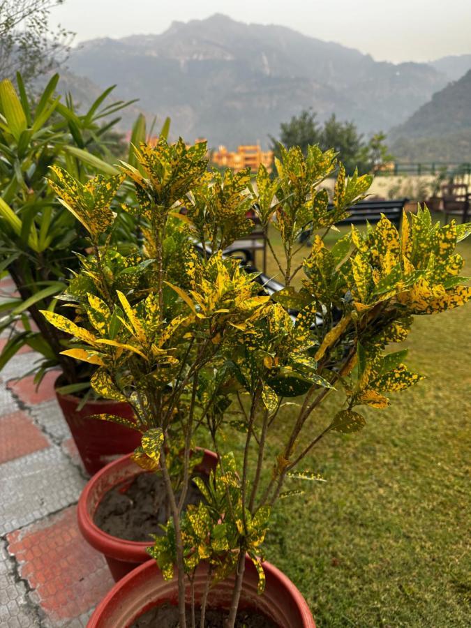 Hotel Dewa Retreat- A Himalayan Boutique Hotel Rishīkesh Exteriör bild