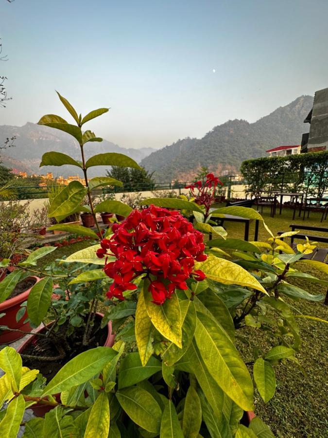 Hotel Dewa Retreat- A Himalayan Boutique Hotel Rishīkesh Exteriör bild